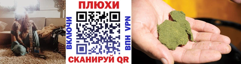 Купить  Электросталь  ГАШ Premium 