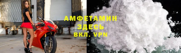гидра Верхний Тагил