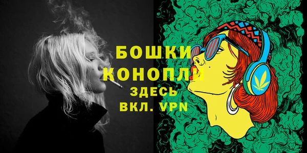 гидра Верхний Тагил