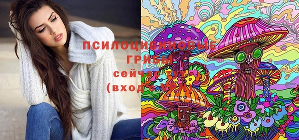 таблы Бородино